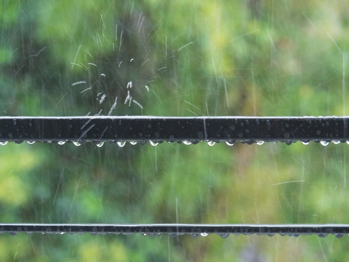 雨の日