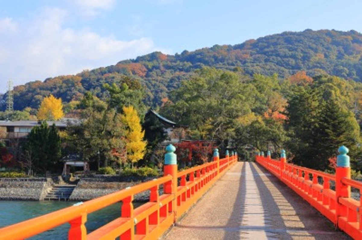 宇治川朝霧橋と紅葉風景